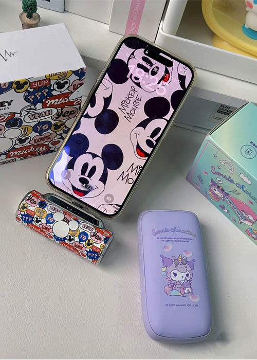 주머니형 가죽 전원 뱅크 5000mAh 300배 이상